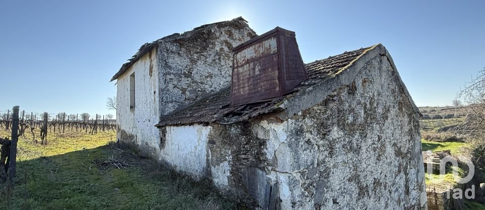 Farm T0 in Alijó of 872 m²