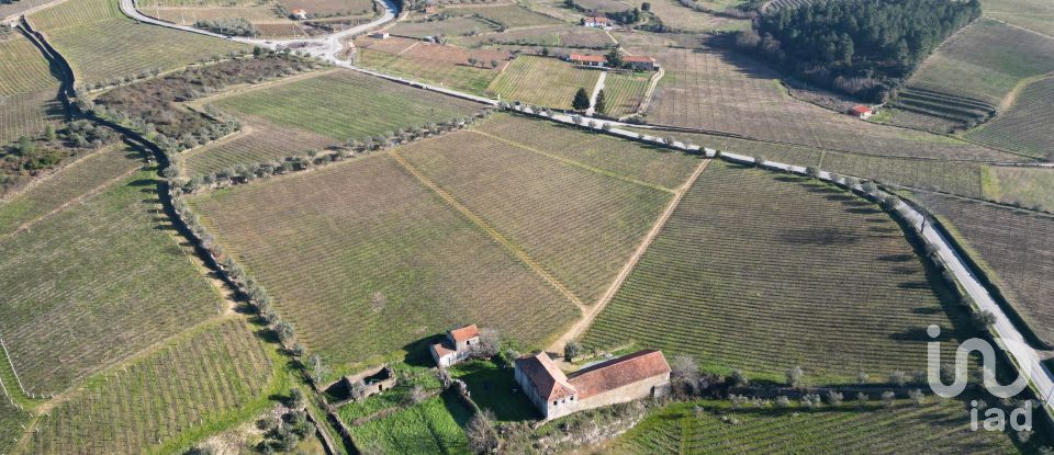 Farm T0 in Alijó of 872 m²