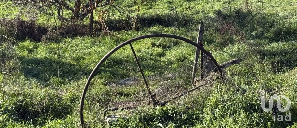 Farm T0 in Alijó of 872 m²