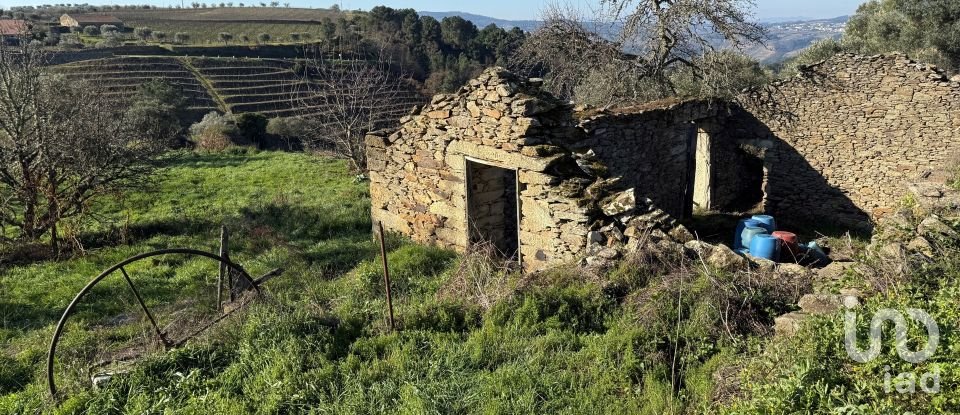 Farm T0 in Alijó of 872 m²