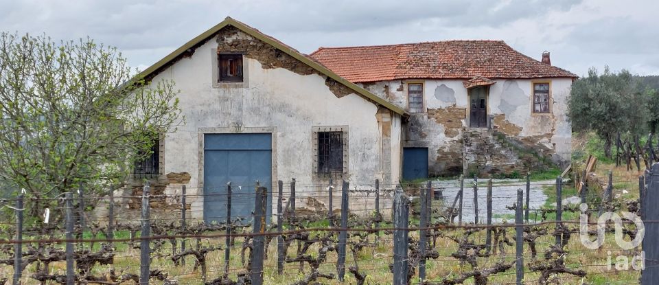 Farm T0 in Alijó of 872 m²