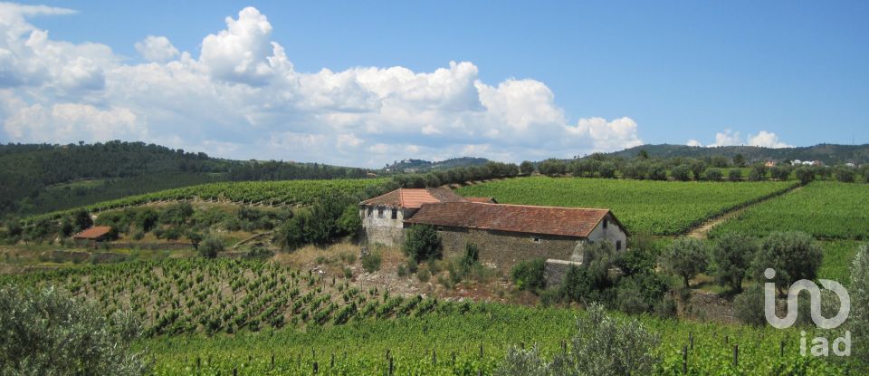 Farm T0 in Alijó of 872 m²