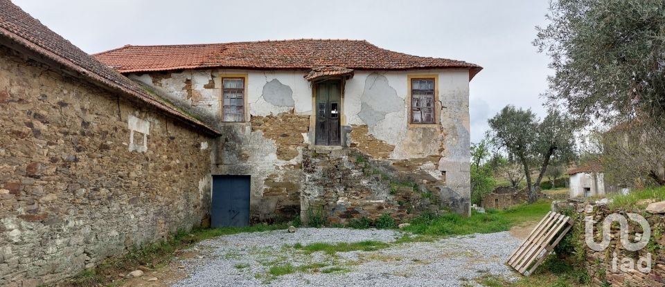 Farm T0 in Alijó of 872 m²