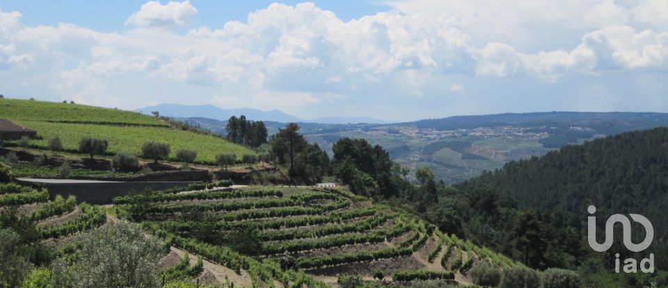 Farm T0 in Alijó of 872 m²