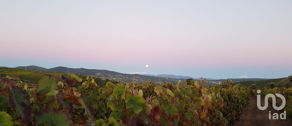 Farm T0 in Alijó of 872 m²