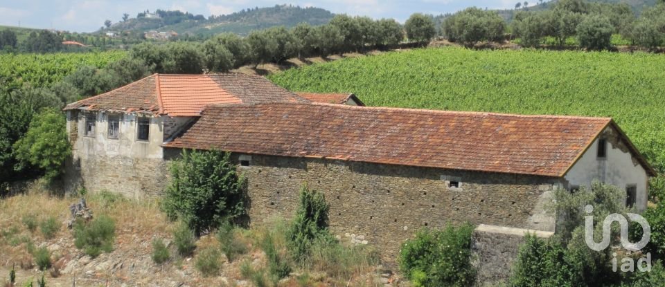 Farm T0 in Alijó of 872 m²