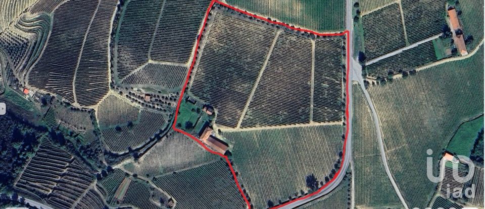 Farm T0 in Alijó of 872 m²