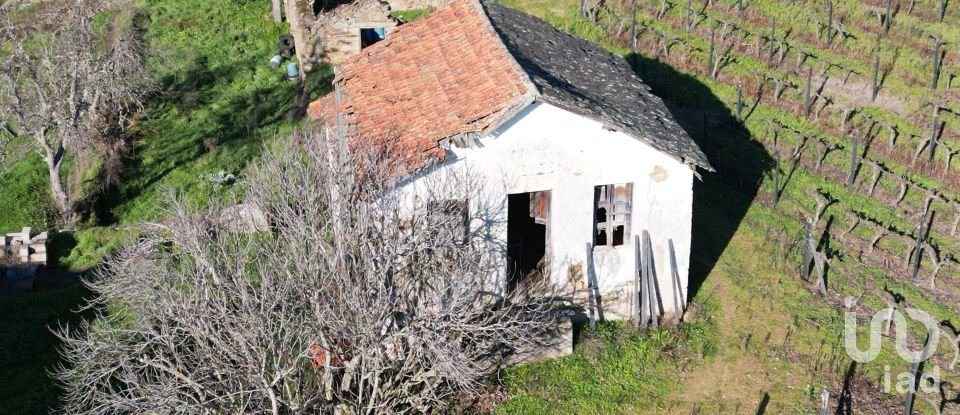 Farm T0 in Alijó of 872 m²