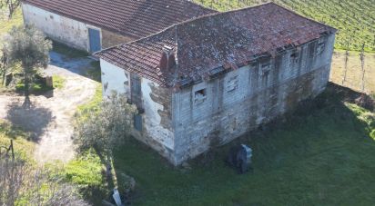 Farm T0 in Alijó of 872 m²