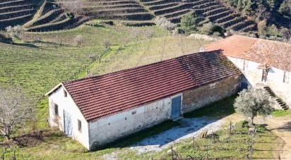 Farm T0 in Alijó of 872 m²