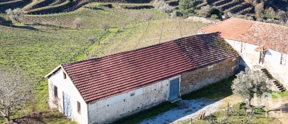 Farm T0 in Alijó of 872 m²