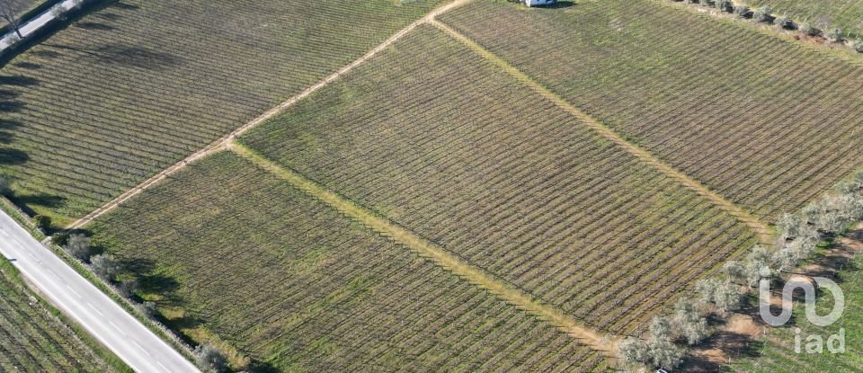 Farm T0 in Alijó of 872 m²