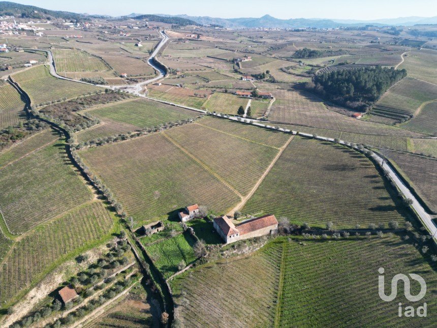 Farm T0 in Alijó of 872 m²