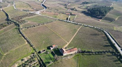 Farm T0 in Alijó of 872 m²