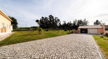 Maison T3 à Caldas da Rainha - Nossa Senhora do Pópulo, Coto e São Gregório de 499 m²