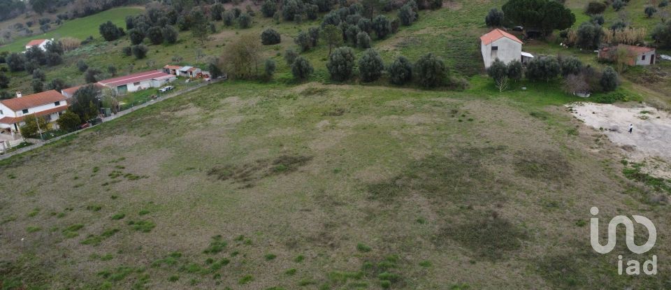 Terreno em Tomar (São João Baptista) e Santa Maria dos Olivais de 13 080 m²