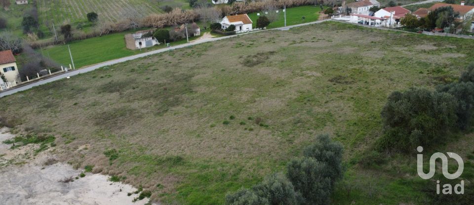 Terreno em Tomar (São João Baptista) e Santa Maria dos Olivais de 13 080 m²