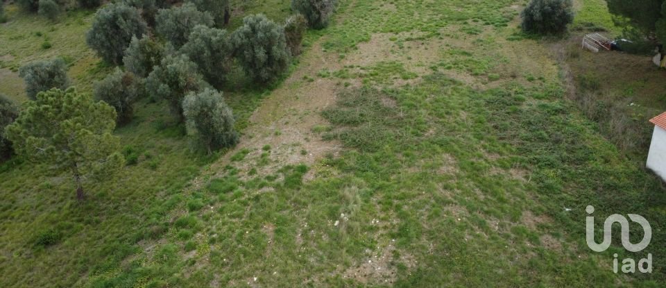 Terreno em Tomar (São João Baptista) e Santa Maria dos Olivais de 13 080 m²