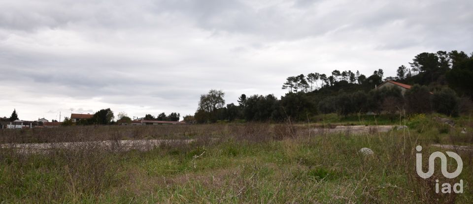 Terreno em Tomar (São João Baptista) e Santa Maria dos Olivais de 13 080 m²