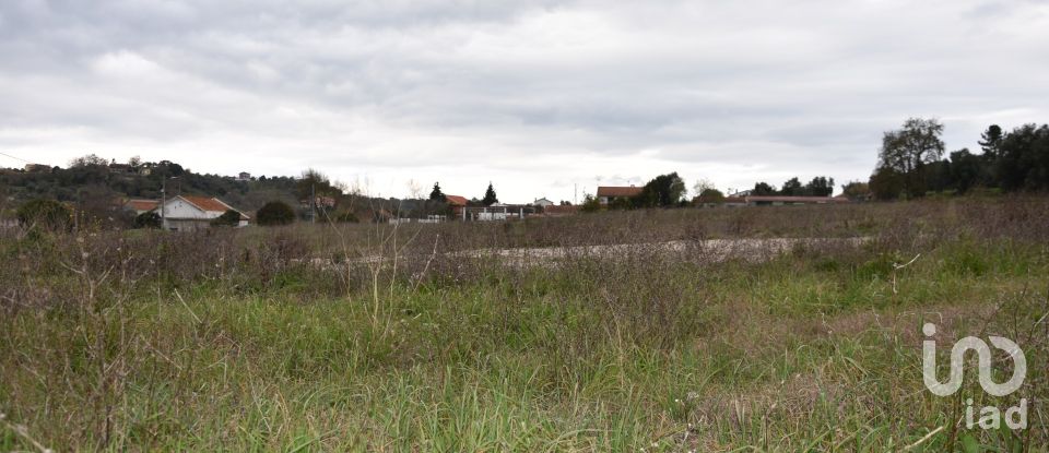 Terreno em Tomar (São João Baptista) e Santa Maria dos Olivais de 13 080 m²