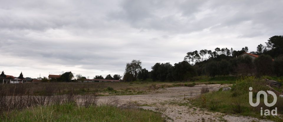 Terreno em Tomar (São João Baptista) e Santa Maria dos Olivais de 13 080 m²