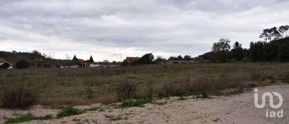 Terreno em Tomar (São João Baptista) e Santa Maria dos Olivais de 13 080 m²