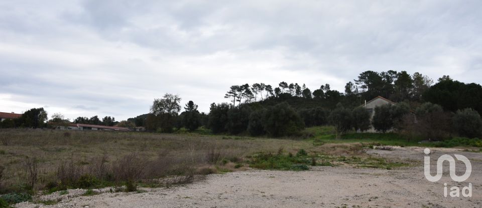 Terreno em Tomar (São João Baptista) e Santa Maria dos Olivais de 13 080 m²