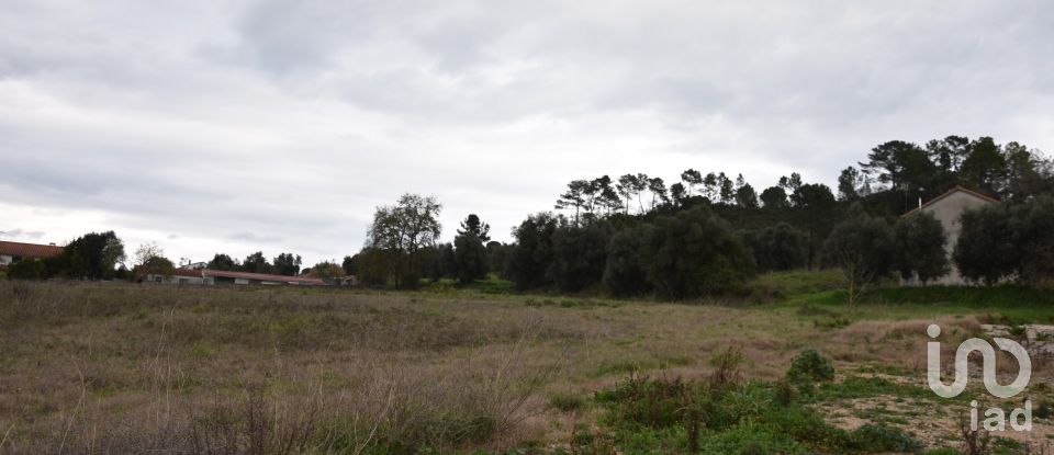 Terreno em Tomar (São João Baptista) e Santa Maria dos Olivais de 13 080 m²
