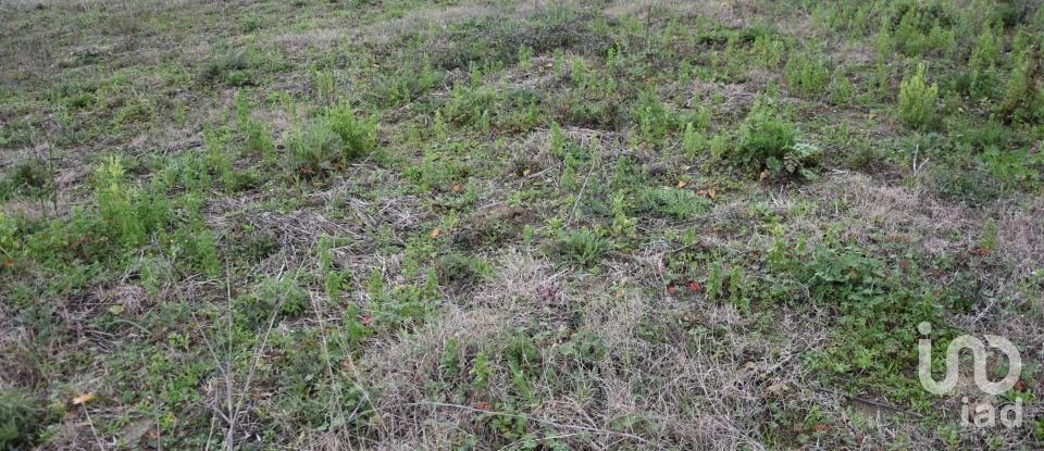 Terreno em Tomar (São João Baptista) e Santa Maria dos Olivais de 13 080 m²