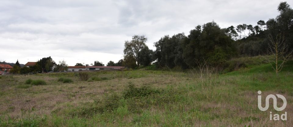 Terreno em Tomar (São João Baptista) e Santa Maria dos Olivais de 13 080 m²
