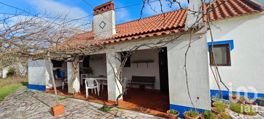 Quinta T3 em Branca de 136 m²