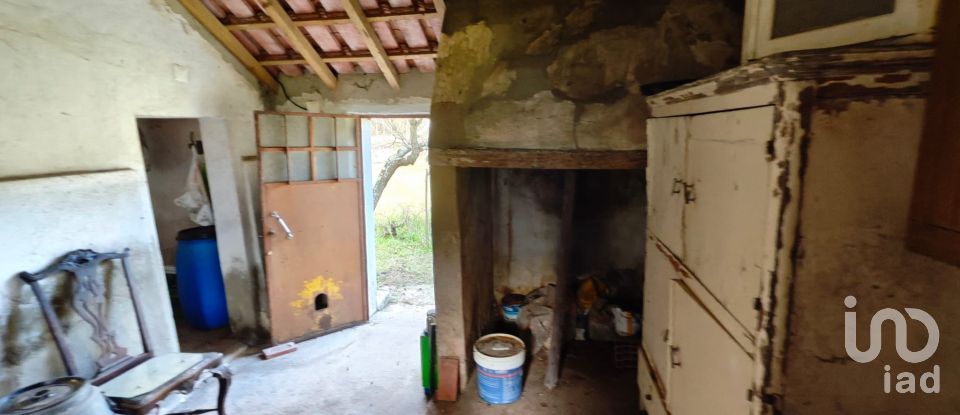 Quinta T3 em Branca de 136 m²