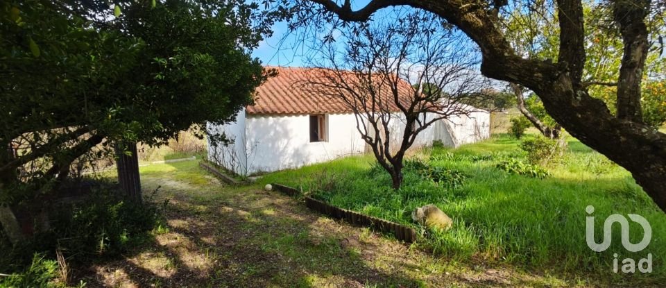 Quinta T3 em Branca de 136 m²