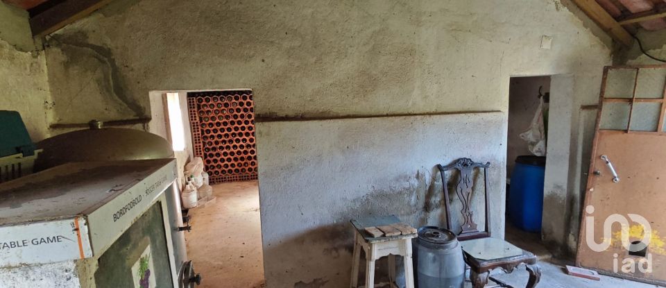 Quinta T3 em Branca de 136 m²