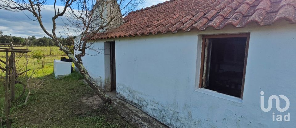 Quinta T3 em Branca de 136 m²