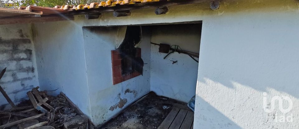 Quinta T3 em Branca de 136 m²