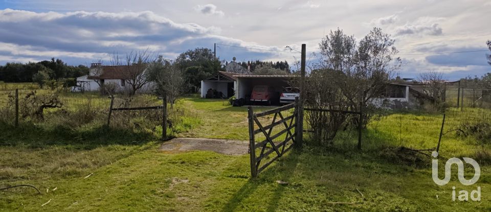 Quinta T3 em Branca de 136 m²