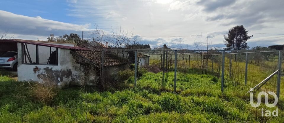 Quinta T3 em Branca de 136 m²