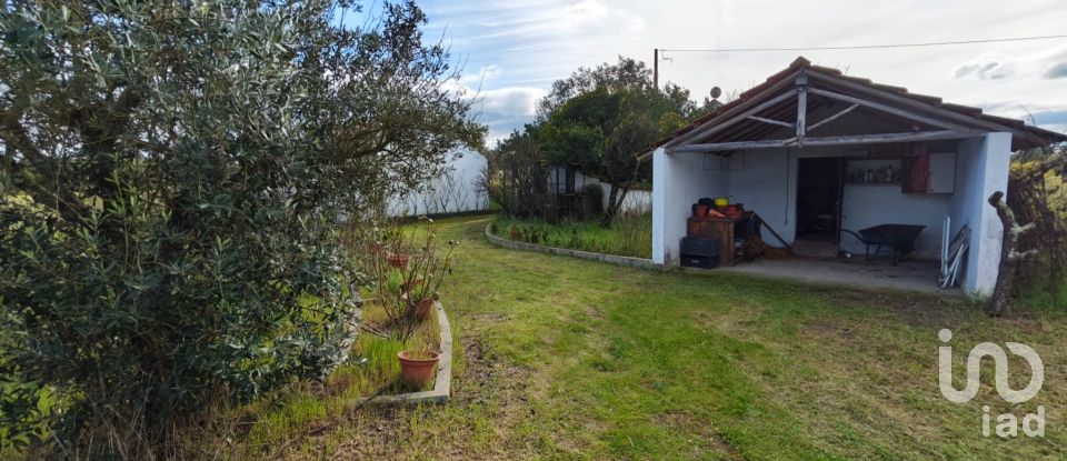 Quinta T3 em Branca de 136 m²