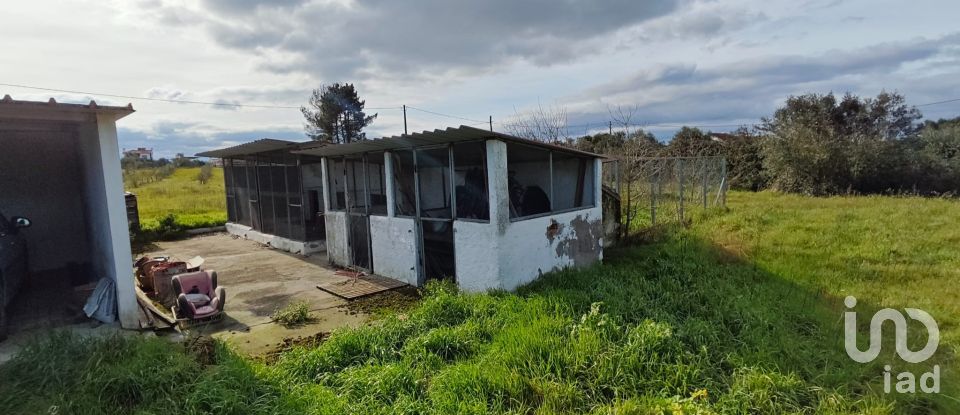 Quinta T3 em Branca de 136 m²