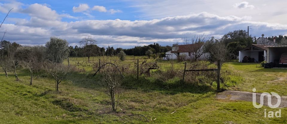 Quinta T3 em Branca de 136 m²