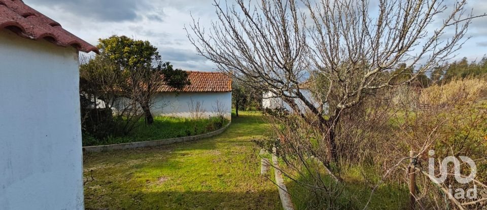 Quinta T3 em Branca de 136 m²