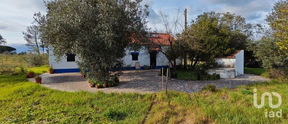 Quinta T3 em Branca de 136 m²