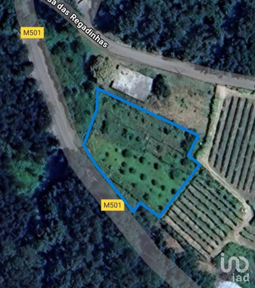 Terreno em Vila e Roussas de 1 866 m²