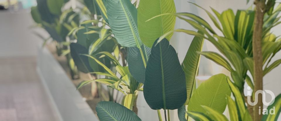 Offices in Mina de Água of 490 m²