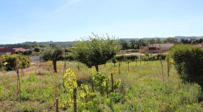 Gîte T4 à Caldas da Rainha - Santo Onofre e Serra do Bouro de 228 m²