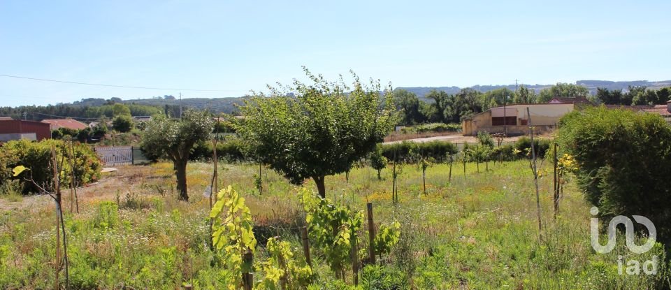 Gîte T4 à Caldas da Rainha - Santo Onofre e Serra do Bouro de 228 m²