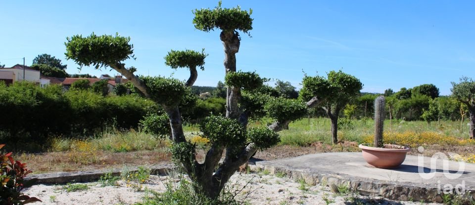 Gîte T4 à Caldas da Rainha - Santo Onofre e Serra do Bouro de 228 m²