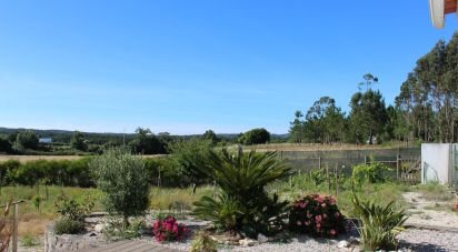 Gîte T4 à Caldas da Rainha - Santo Onofre e Serra do Bouro de 228 m²