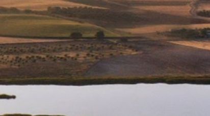 Terrain agricole à Beringel de 42 229 m²